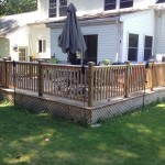 Mike’s pic 100
